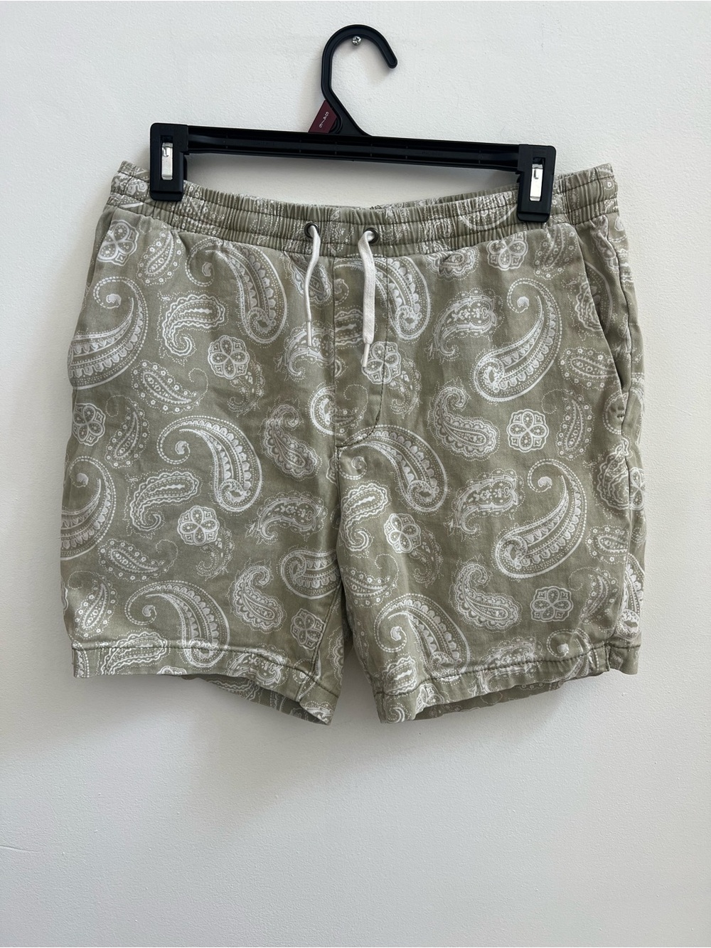 Pacsun Men’s Paisley Green White Tie Short Size S